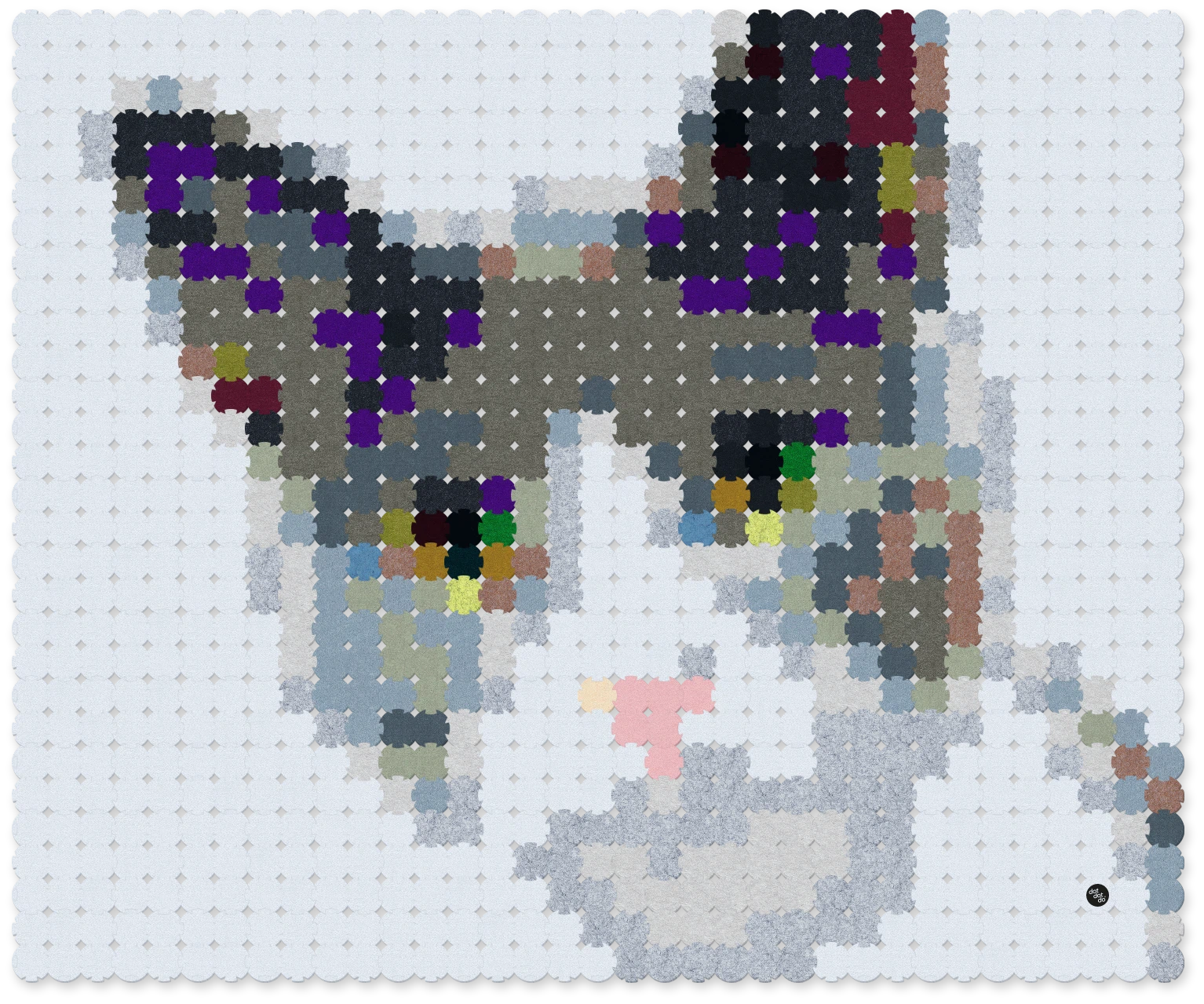 Kitten